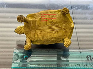 Lifelike Cute Spider Wed Pattern Tortoise Statue Reptile Resin Figure Decor 4"