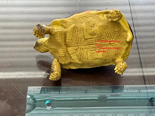 Lifelike Cute Spider Wed Pattern Tortoise Statue Reptile Resin Figure Decor 4"