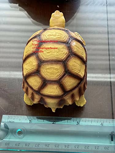 Lifelike Cute Albino Sulcata Tortoise Statue Reptile Resin Figure Decor 3.25"