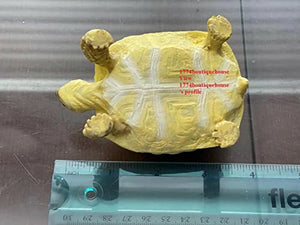 Lifelike Cute Albino Sulcata Tortoise Statue Reptile Resin Figure Decor 4 inch