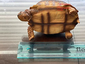 Lifelike Very Cute Sulcata Tortoise Statue Reptile Resin Figure Decor 5.5 inch