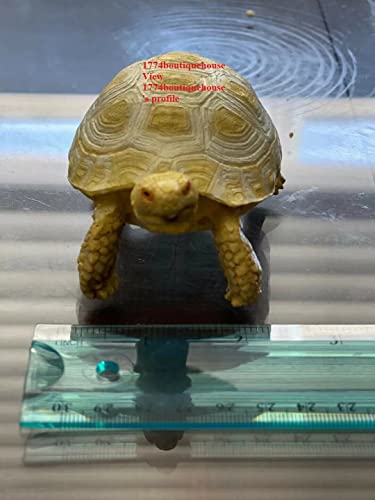 Lifelike Cute Albino Sulcata Tortoise Statue Reptile Resin Figure Decor 4 inch