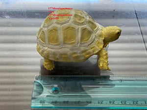Lifelike Cute Albino Sulcata Tortoise Statue Reptile Resin Figure Decor 3.25"