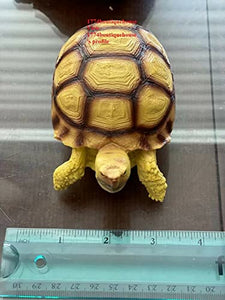 Lifelike Cute Albino Sulcata Tortoise Statue Reptile Resin Figure Decor 3.25"