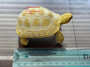 Lifelike Cute Albino Sulcata Tortoise Statue Reptile Resin Figure Decor 4 inch
