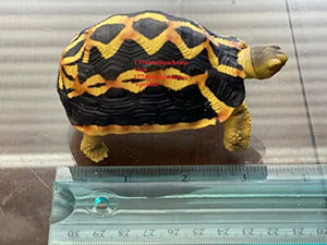 Lifelike Cute Spider Wed Pattern Tortoise Statue Reptile Resin Figure Decor 4"