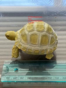 Lifelike Cute Albino Sulcata Tortoise Statue Reptile Resin Figure Decor 3.25"